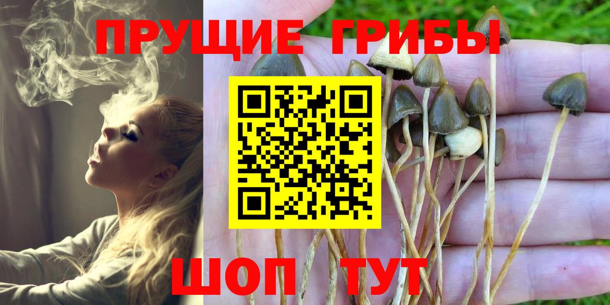 сколько стоит  Галлюциногенные грибы прущие грибы  Вход с VPN  Кыштым 