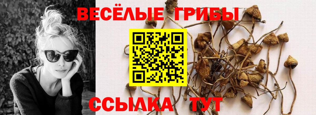 Галлюциногенные грибы прущие грибы Кыштым